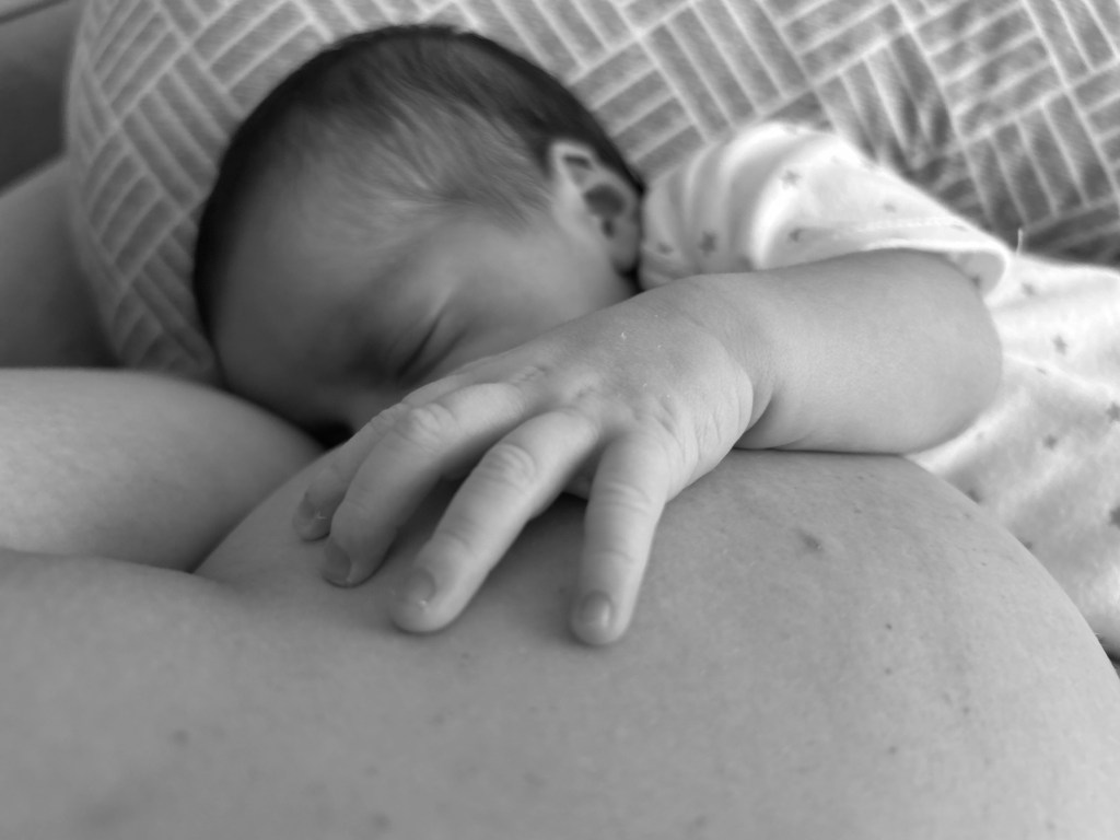 The current image has no alternative text. The file name is: img_2104.jpg